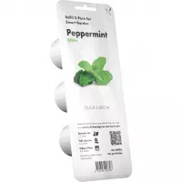 Peppermint Refill 3-Pack Smart Garden