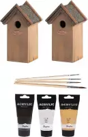 2x stuks houten vogelhuisjes/nestkastjes 22 cm - in het zwart/goud/zilver - Dhz schilderen pakket + 3x tubes verf en kwasten