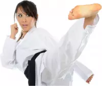 Nihon - Nihon Karatepak TOP