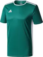 adidas Entrada 18 SS Jersey Teamshirt Junior Sportshirt - Maat 152  - Unisex - groen/wit