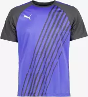 Puma Teamliga graphic heren voetbal T-shirt - Paars - Maat M