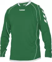 Hummel Liverpool Shirt LM - Voetbalshirt - Mannen - Maat M - Groen