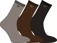 Regatta Mens 3 Socks/ Box Wandelsokken - Mannen - Bruin
