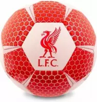 Liverpool Voetbal Vector Synthetisch Rood/wit Maat 5