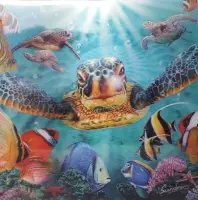 3D wenskaart - Schildpad onder water -Trendzz -  16 x16 cm