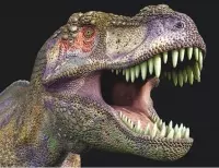Dieren magneet 3D T-rex