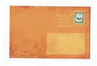 Cards & Crafts Luxe Gekleurde Enveloppen - 50 stuks - Oranje / Vlinder - B6 -175X120 mm - 110grms - 50 enveloppen