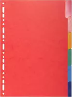 25x Tabbladen glanskarton 225g met geplastificeerde gekleurde tabs - 6 tabs - A4
