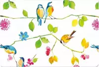 Watercolor Birds Notecards