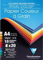 Clairefontaine Papier 10 kleuren zuurvrij papier met fijn structuur - A4 20 vel - 160 grams