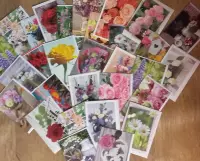 Set van 30 verschillende BLANCO wenskaarten, thema: bloemen // Langwerpige luxe kaarten met envelop.