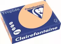 6x Clairefontaine TrophÃ©e Pastel A4 abrikoos, 160gr, pak a 250 vel