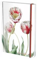 Notitieboek A5, harde kaft: Tulipa 'Teyler', Anita Walsmit Sachs