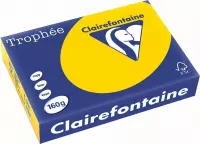 6x Clairefontaine TrophÃ©e Pastel A4 goudgeel, 160gr, pak a 250 vel