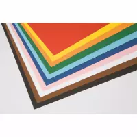 Fotokarton | 50 x 70 cm | Gekleurd assorti | 100 vel