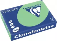 6x Clairefontaine TrophÃ©e Pastel A4 natuurgroen, 160gr, pak a 250 vel