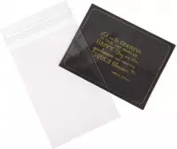 Plastic Zakken 10,8x15,6cm Transparant en Hersluitbaar (250 stuks) | Plastic zak