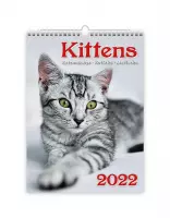 Kittens Kalender 2022