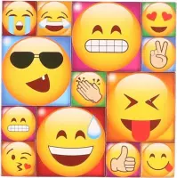 13x Emoji smiley koelkast memo magneten