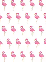 Pakket van 10: Wenskaart "Flamingo"