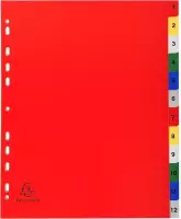 20x Tabbladen met bedrukte tabs in gekleurde PP - 12 tabs - 1 tot 12 - A4 maxi, Geassorteerde felle kleuren
