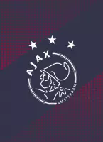 Schrift Ajax AFC A4 geruit - 2 stuks