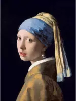 Diamond painting - Meisje met de parel van Johannes Vermeer - Oude meesters - Geproduceerd in Nederland - 40 x 60 cm - dibond materiaal - vierkante steentjes - Binnen 2-3 werkdagen