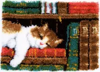Knooptapijt kit Slapende kat in boekenrek - Vervaco - PN-0149896