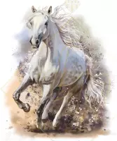 DP Diamond Painting White Horse - formaat 50 x 60 cm - Volledige bedekking, vierkante steentjes - Hoogste kwaliteit van DP Benelux Diamond Paintings
