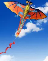 Apeirom Vlieger Fire Dragon - Maat 1.40 Meter Breed en 1.60 Meter Hoog - Feel The Wind!