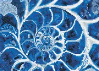 Diamond Painting Volwassenen - Ronde Steentjes - Volledig Pakket - Hobby - Diamond Dotz® - DD9.057 - Blauwe schelp 51 x 37cm