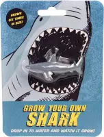 Laat je eigen haai groeien - Rex London