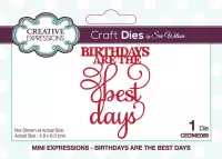 Creative Expressions Stans - 'Birthdays Are The Best Days' - 4,8cm x 6,3cm