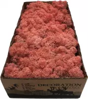 MosBiz Rendier mos Pink per 500 gram voor decoraties, mosschilderijen en bloemstukjes