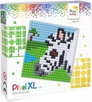 Pixel XL set - zebra