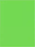 Etalagekarton / Prijskarton / Reclamekarton / Karton 50 x 70cm fluor groen, 10 vellen