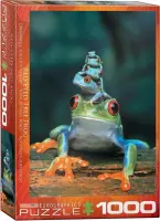 Eurographics puzzel Red-Eyed Tree Frog - 1000 stukjes