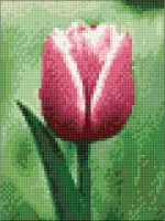 Wizardi Diamond Painting Kit Tulip WD300