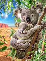 SALE! Bodhi Art Premium Diamond Painting Pakket Koala met slapende baby 40x50