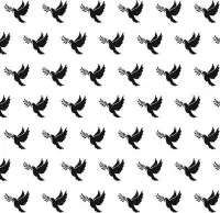 EEB002 Embossingfolder Nellie Snellen dove - achtergrond folder 15 x 15 cm - condoleance duiven