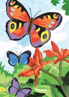 Kleuren op nummer  - Kleuren op nummer voor volwassenen - Kleurrijke vlinders mini pakket 12.7 X 13.8 CM