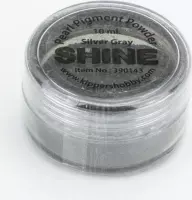 Shine Pearl Pigment Powder Silver Gray
