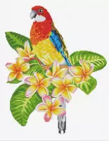 Frangipanni Rosella papegaai voorbedrukt borduren (pakket)