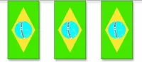 Vlaggenlijn Brazilie 5 meter