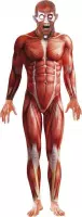 Halloween - Anatomische man horror bodysuit 52-54 (L)