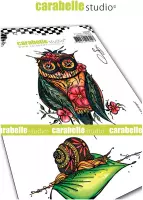 Carabelle Studio Cling stamp - A6 chouette et escargot