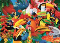 Trefl 500 Colorfull Birds