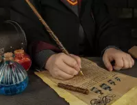 Harry Potter Hermione Granger Wand pen
