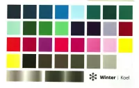 Kleurenkaart Kleurenpas Wintertype - INCLUSIEF:  Online Video-instructie + Algemeen kleuradvies voor het Wintertype