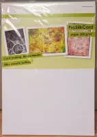 CraftEmotions ProSilkCard - luxe glad karton wit 10 vl A4 - 300 gr